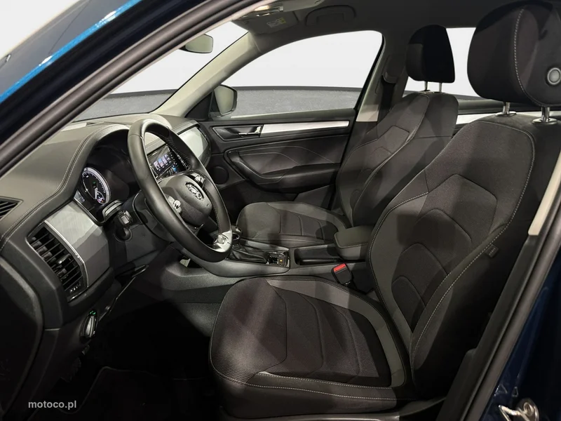 Skoda Kodiaq I 25
