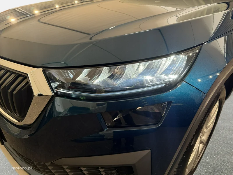 Skoda Kodiaq I 9