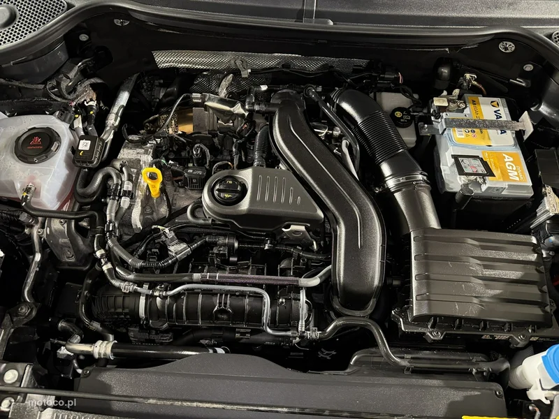 Cupra Ateca 32