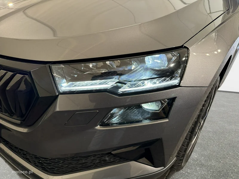 Skoda Karoq I 9