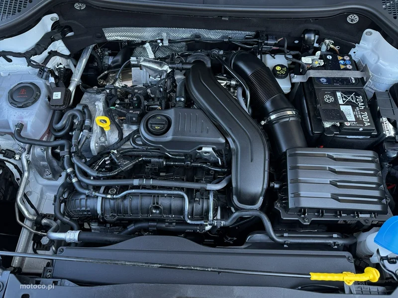 Skoda Karoq I 30