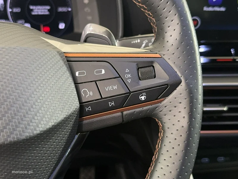 Cupra Formentor 15