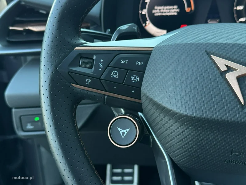 Cupra Terramar 11