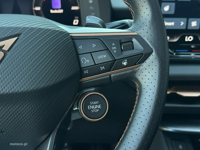 Cupra Terramar 12