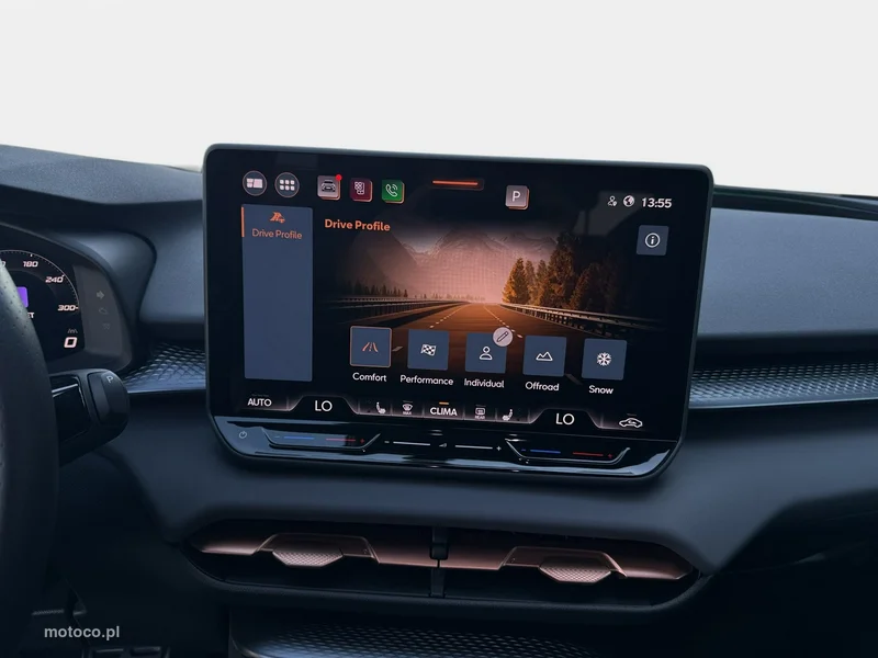 Cupra Terramar 19