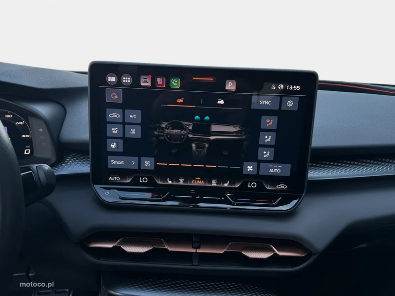 Cupra Terramar 21