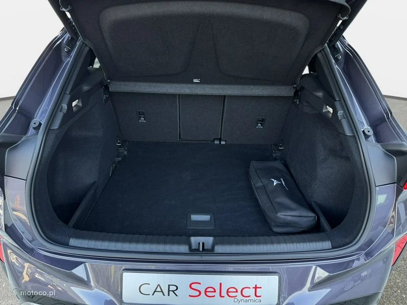 Cupra Terramar 24