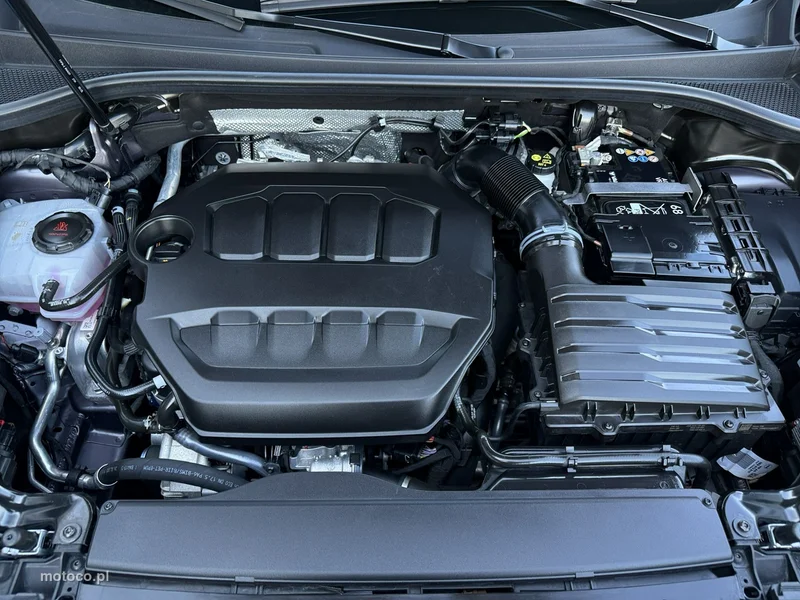 Cupra Terramar 34