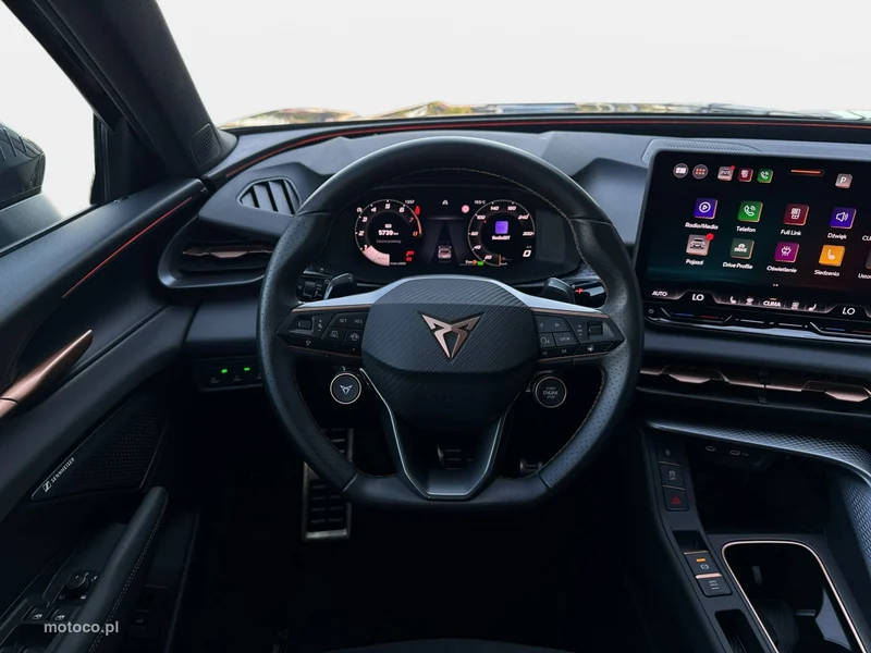 Cupra Terramar 10