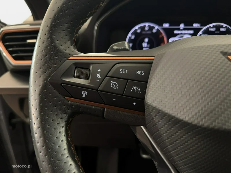 Cupra Formentor 14