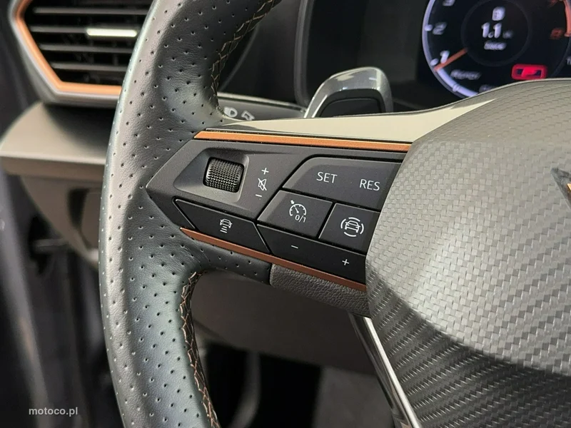 Cupra Formentor 13