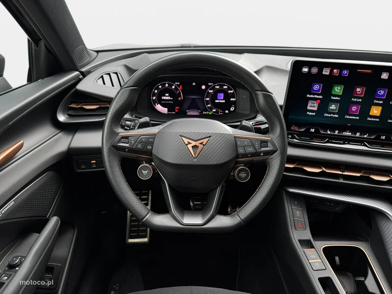 Cupra Terramar 13