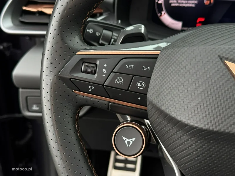 Cupra Terramar 14