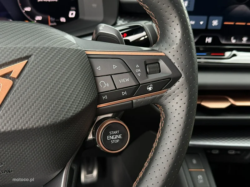 Cupra Terramar 15