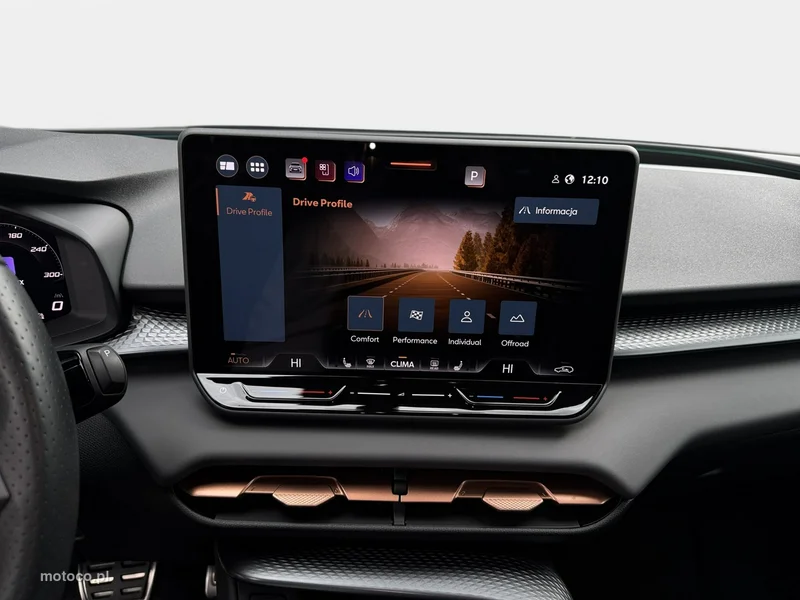 Cupra Terramar 20
