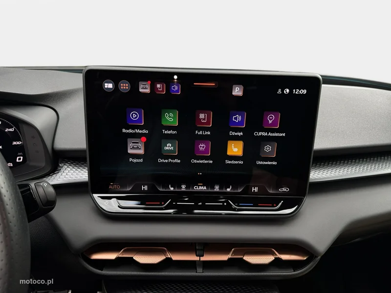 Cupra Terramar 21