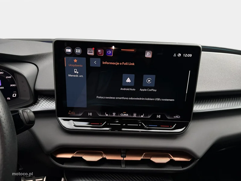 Cupra Terramar 22