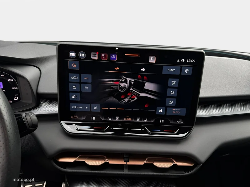 Cupra Terramar 23