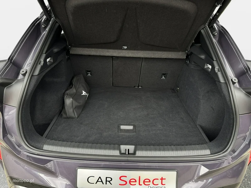 Cupra Terramar 27