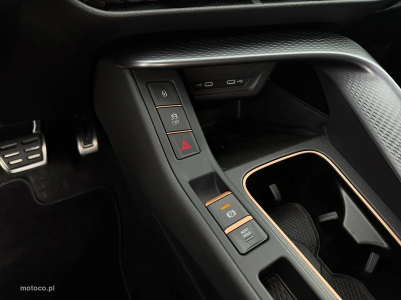 Cupra Terramar 28