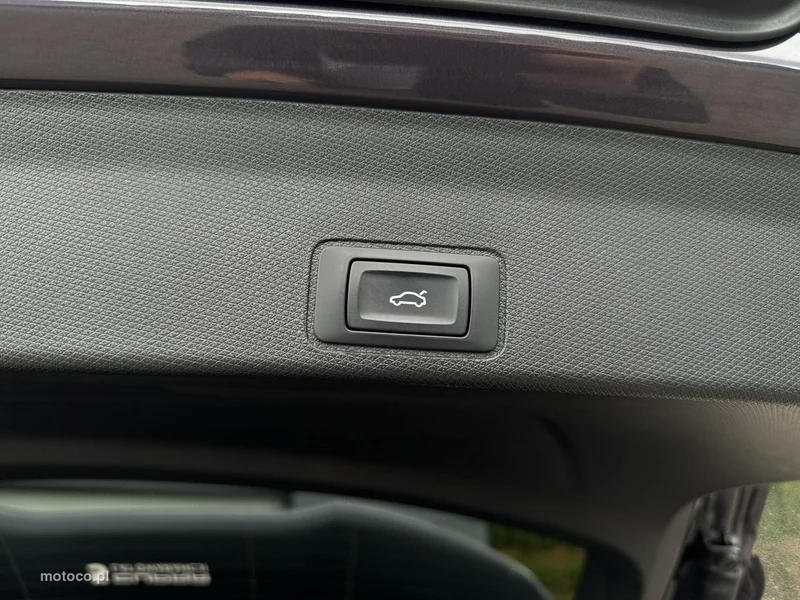 Cupra Terramar 30