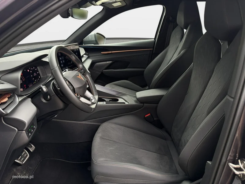 Cupra Terramar 33