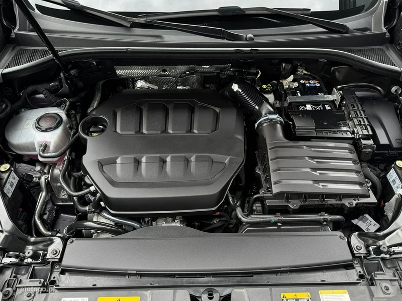 Cupra Terramar 37