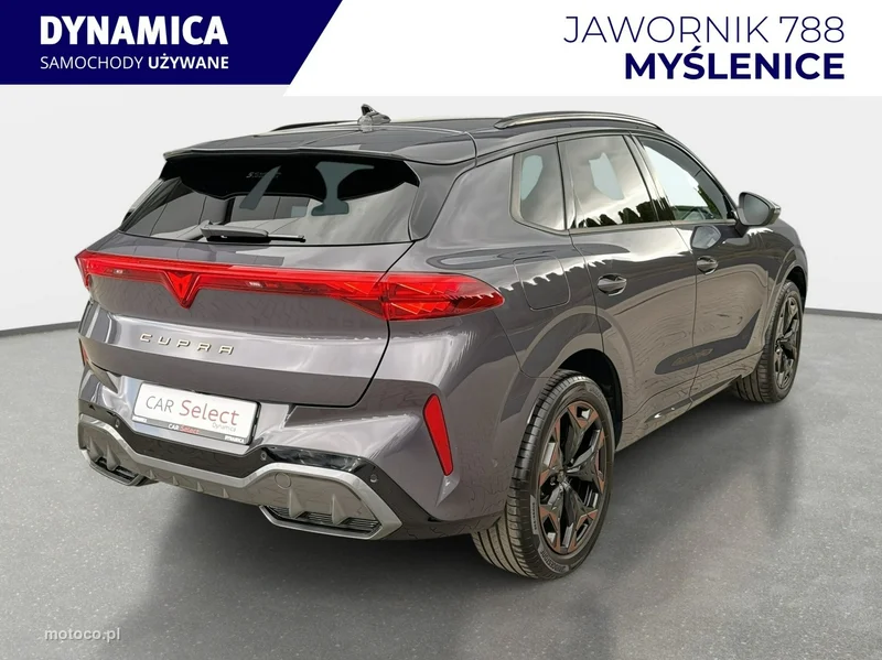 Cupra Terramar 8