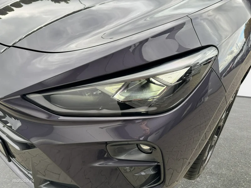 Cupra Terramar 9