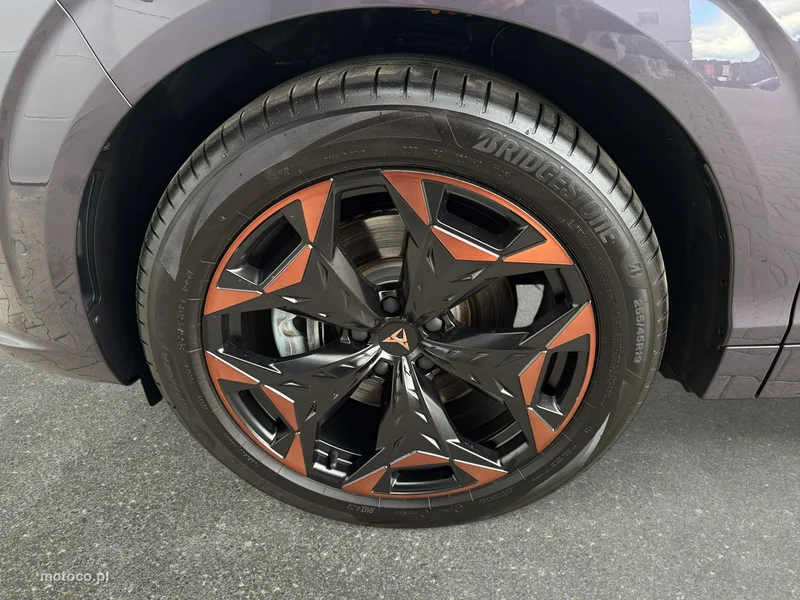 Cupra Terramar 10