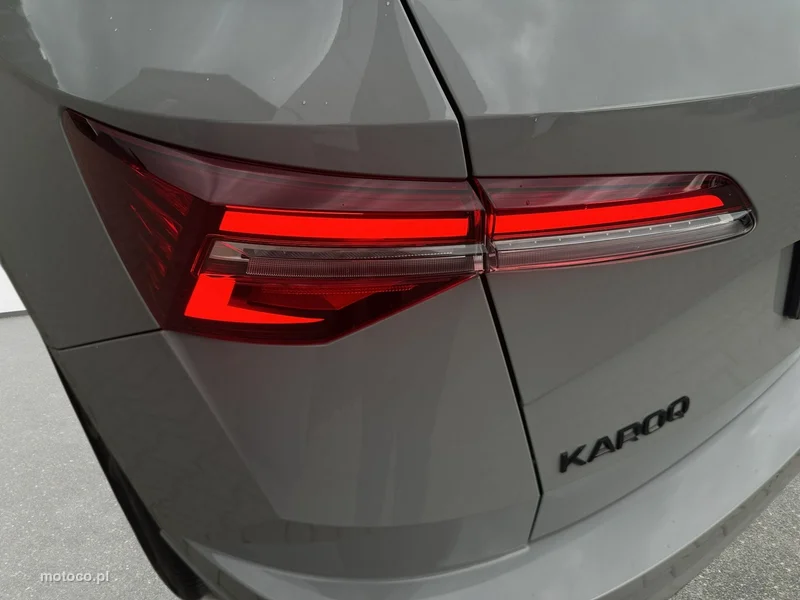 Skoda Karoq I 11