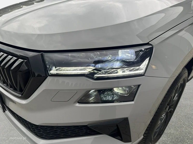 Skoda Karoq I 9