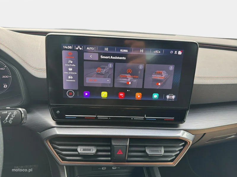 Cupra Formentor 19