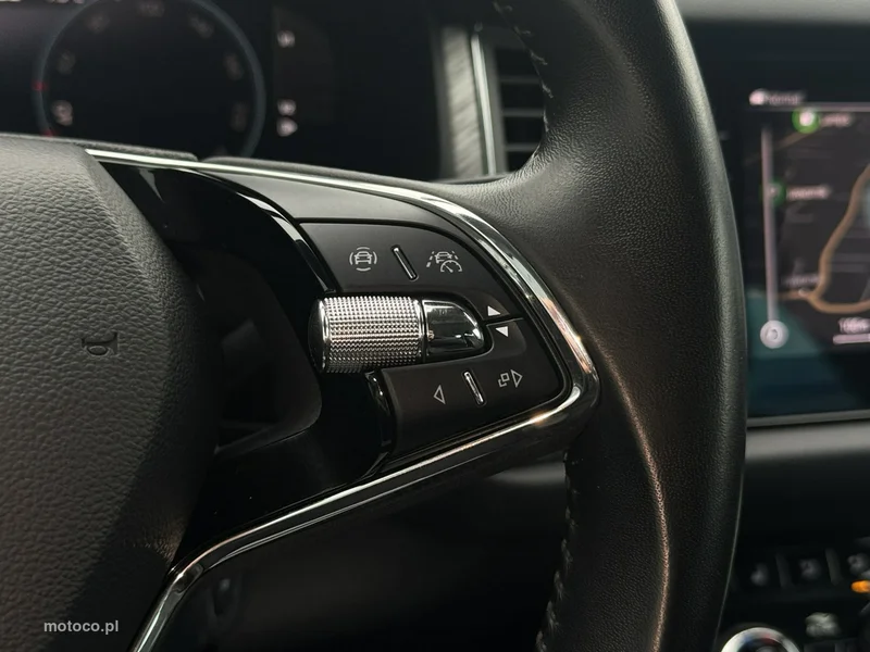 Skoda Kodiaq I 17