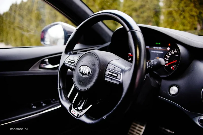 Kia Stinger 30