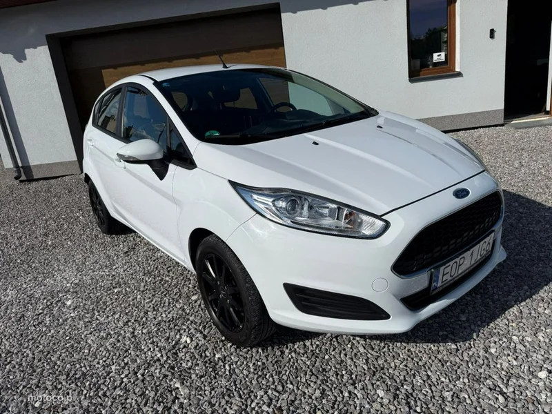 Ford Fiesta VI 17