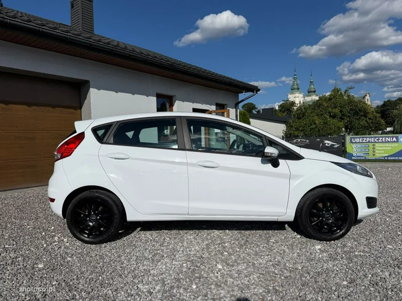 Ford Fiesta VI 18