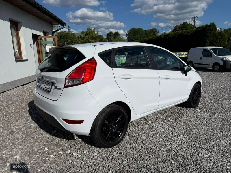 Ford Fiesta VI 20