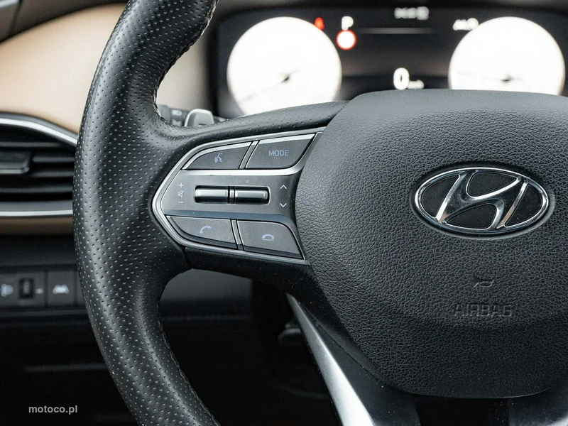 Hyundai SANTA FE 14