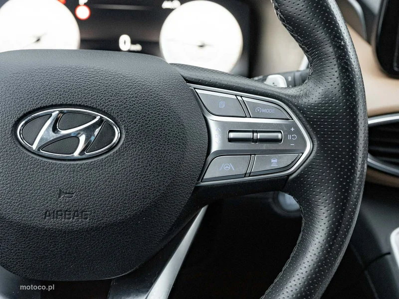 Hyundai SANTA FE 15