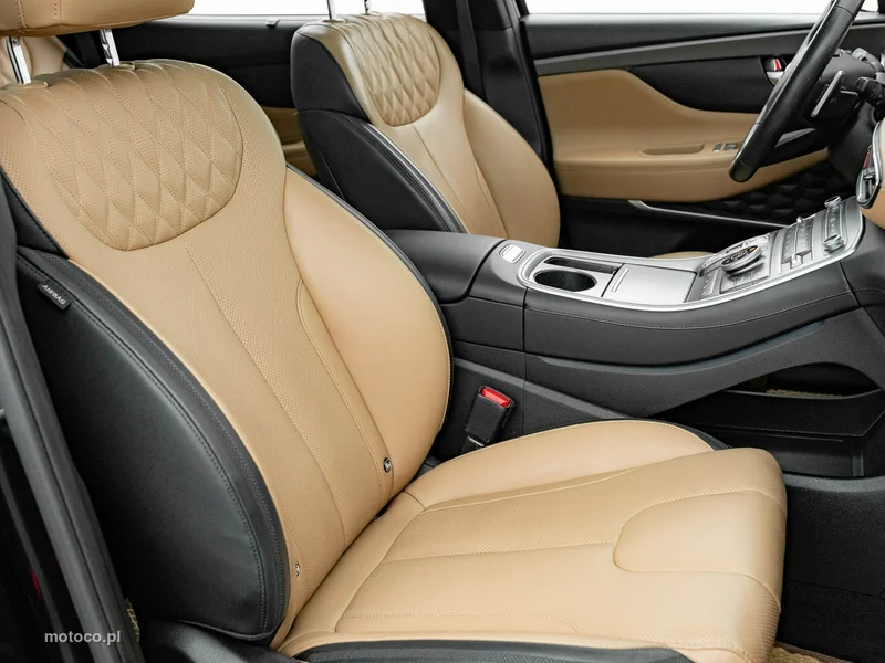 Hyundai SANTA FE 30