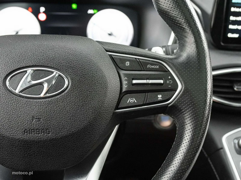Hyundai SANTA FE 14