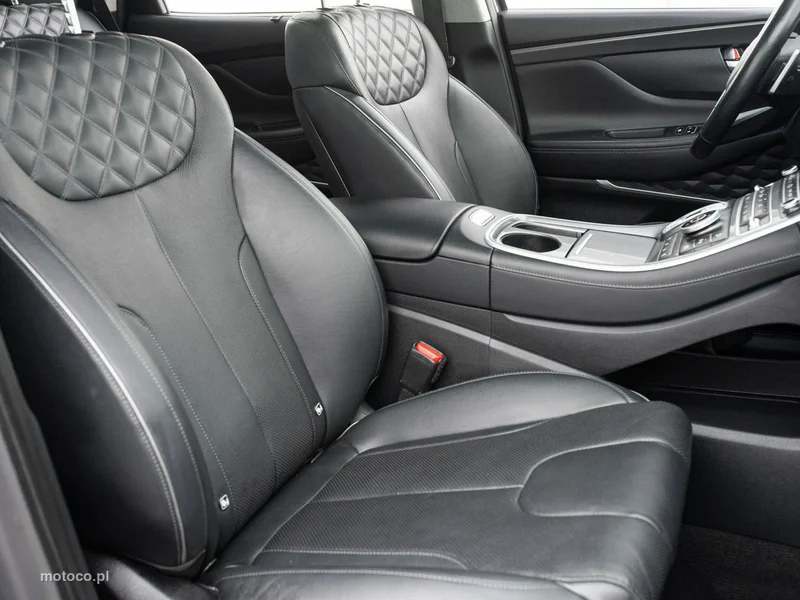 Hyundai SANTA FE 29