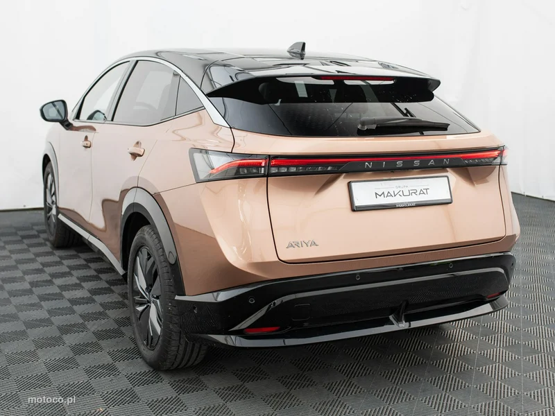 Nissan Ariya 4