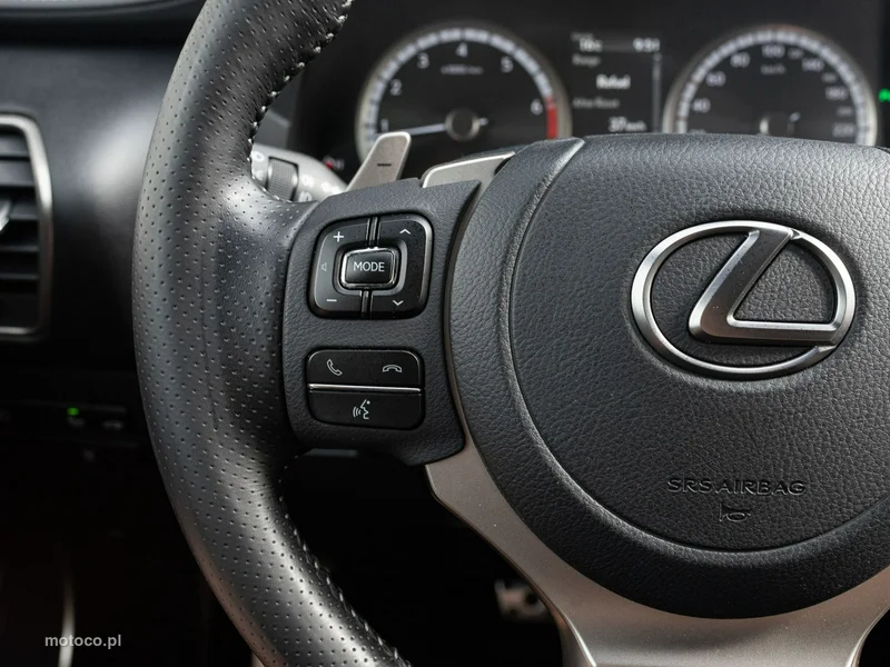 Lexus NX 13