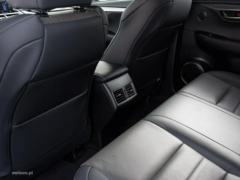 Lexus NX 24