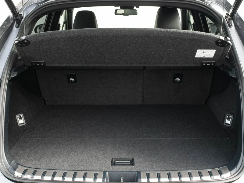 Lexus NX 26