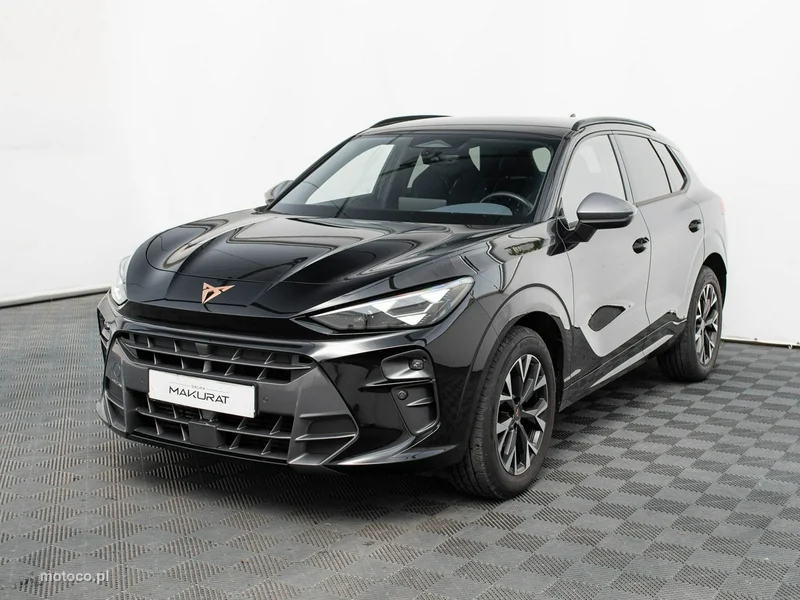 Cupra Terramar 2