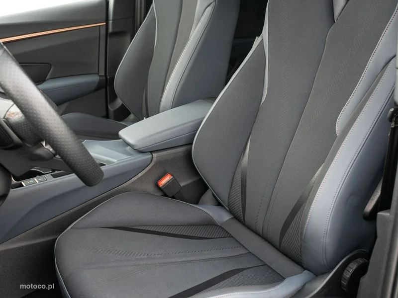 Cupra Terramar 11
