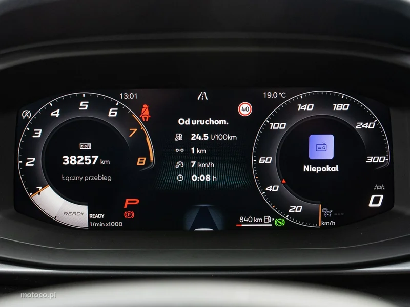 Cupra Terramar 12